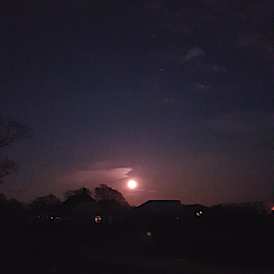 Laag boven de horizon, boven het silhouet van een woning, schuurtjes en bomen, staat een grote volle rood getinte maan.